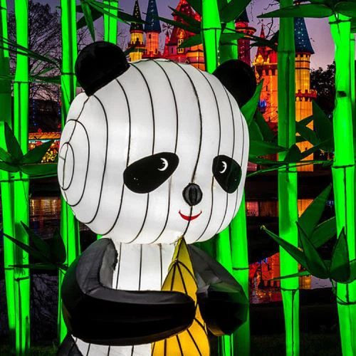 Kineska Panda Lantern